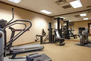 Red Roof Inn & Suites DeKalb - Fitnessbereich