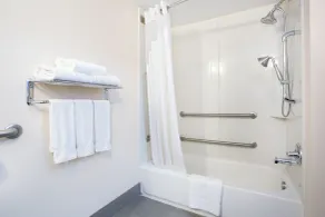 Holiday Inn Express Lexington Southwest Nicholasville by IHG - Bathroom