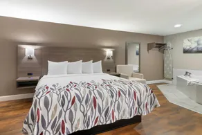 Red Roof Inn & Suites Swansea - Rom
