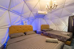 Sea Safari - Room