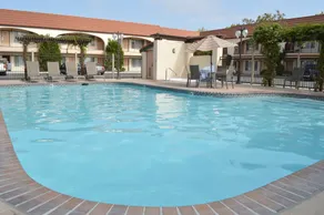 Laurel Inn & Conference Center - Piscine
