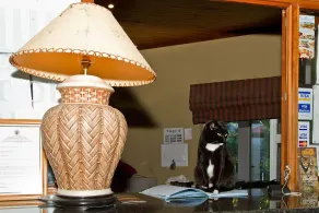 Out of Africa Town Lodge - Lobby