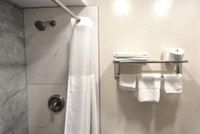 Exclusivo Inn by OYO Grand Prairie, TX - Salle de bain