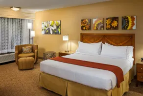 Holiday Inn Express Simi Valley by IHG - Chambre