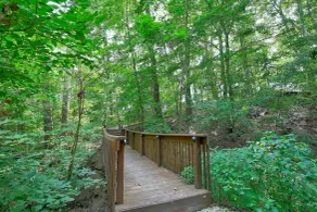 Cricket Hill Lodge & Cabins - Chambre