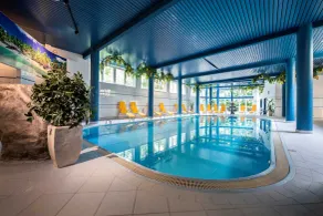 Parkhotel zur Klause - Pool