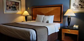 Baymont by Wyndham Knoxville I-75 - Chambre