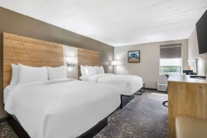 Comfort Inn & Suites Chattanooga-East Ridge - Chambre