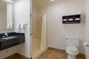 Best Western Davison Inn - Badezimmer