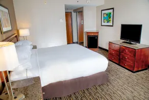 DoubleTree by Hilton Las Vegas Airport - Vue de la chambre