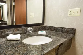Drury Inn & Suites Greensboro - Salle de bain