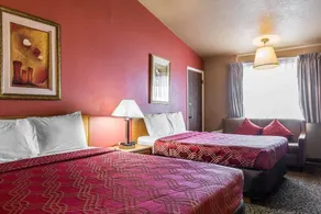 Brush Inn - Chambre