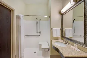 Super 8 by Wyndham Hidalgo/McAllen Area - Badrum