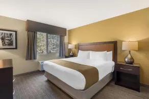 Best Western Plus Plaza by the Green - Chambre