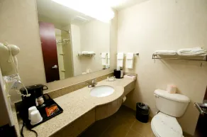 Executive Inn & Suites Upper Marlboro - Salle de bain