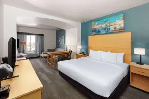 La Quinta by Wyndham Austin NW/Lakeline Mall - Værelse
