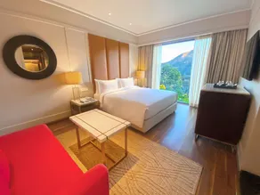 Radisson Blu Resort Kumbhalgarh - Room