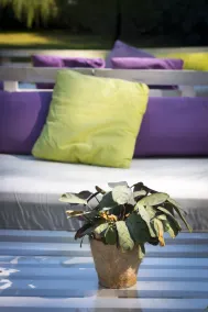 Hotel Balneario Valle del Jerte - Rezeption