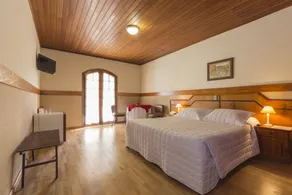 Hotel Leão da Montanha - Room