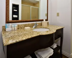 Hampton Inn & Suites Fredericksburg - Salle de bain