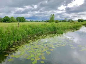 1 Tunns Cottages, Rushmere, nr Beccles - Interiør