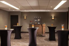 Dallas/Fort Worth Airport Marriott - Réception