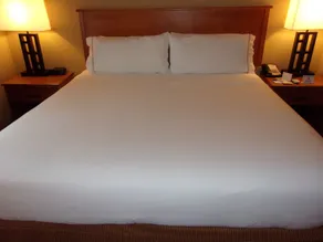 Holiday Inn Express Hotel & Suites Chicago West Roselle by IHG - Habitación