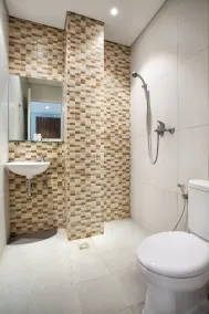 Flagship 101 Apple Platinum - Bathroom