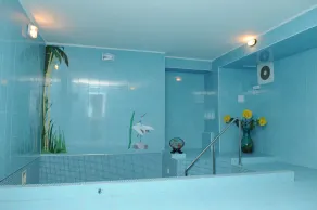 Manhattan Hotel & Restaurant - Pool