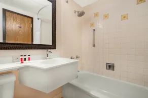 Albert Lea Inn and Suites - Bad
