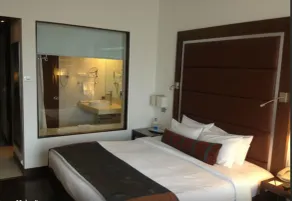 Royal Orchid Central, Pune - Room