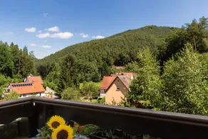 Hotel Die Kleine Blume - Udsigt fra værelset