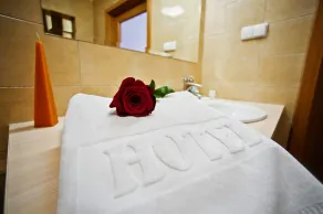 Hotel Zawisza - Bathroom