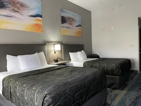 La Quinta by Wyndham Tampa Central - Room