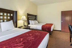 Comfort Suites Leesville near Fort Johnson - Zimmer