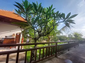 Innora Jungle Resort And Spa - Reception