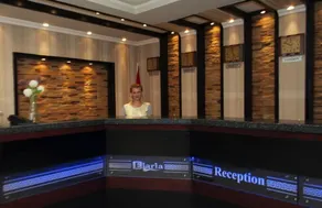 Elaria - Reception