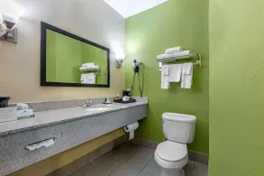Sleep Inn & Suites Millbrook - Prattville - Salle de bain