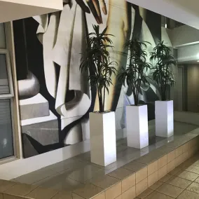 First Divine Suites - Hydro Park - Ingresso interno