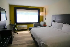 Holiday Inn Express & Suites Oswego by IHG - Chambre