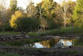 Green Dragon Organic Farm and B&B - Property grounds