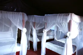Endeem mara resort - Chambre
