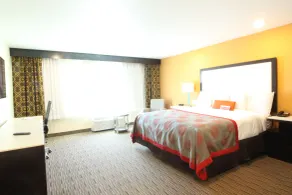Ramada by Wyndham Culver City - Chambre