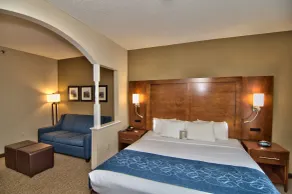 Comfort Suites Scranton near Montage Mountain - Chambre