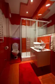 Vila Barović and Spa - Bathroom