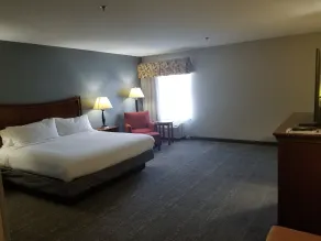 Wingate by Wyndham Savannah I-95 North - Chambre
