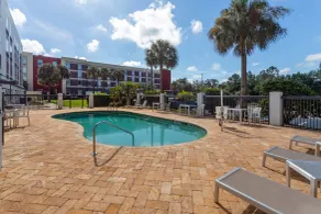 Holiday Inn - Tampa North by IHG - Piscine