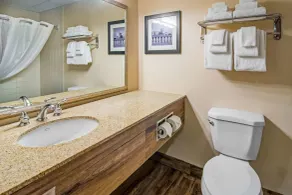 Quality Inn & Suites Virginia MN - Bad