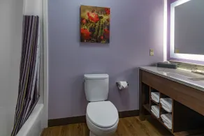 La Quinta Inn & Suites by Wyndham Flagstaff East I-40 - Salle de bain