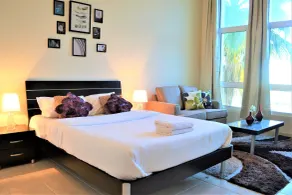 MCLN - Spacious Furnished Studio - Room